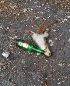 笑话段子搞笑图片算命先生你别跑,我保证不打死你
