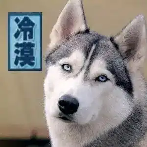 爆笑养狗当养哈士奇,别问为什么
