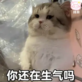 表情包丨搞笑表情包带字图片