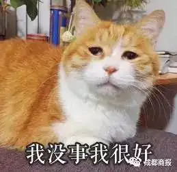 听说00后又用回qq了微信太老气,适合中年人扎心了
