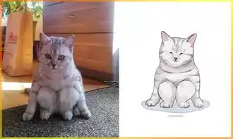 另类的猫咪图片,从搞笑到治愈,笑着笑着心就暖暖的
