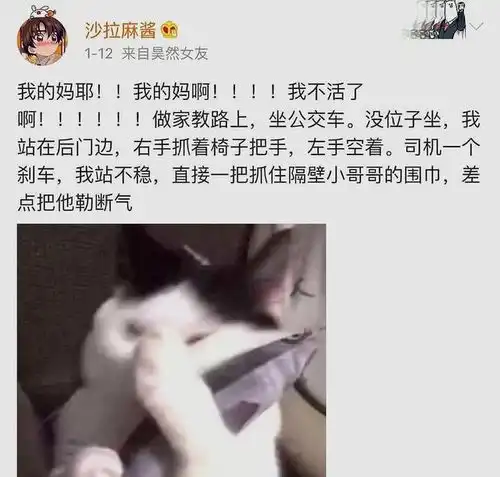 幽默诙谐搞笑图片公交车上的尴尬经历
