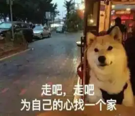 七夕段子搞笑图片表情包七夕段子单生狗系列图片表情
