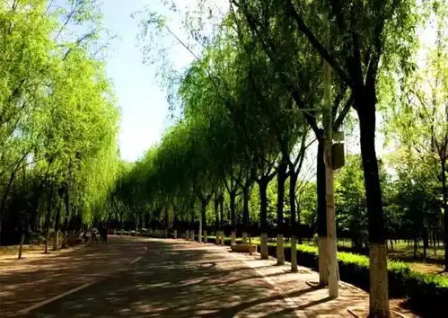 grove论美18
