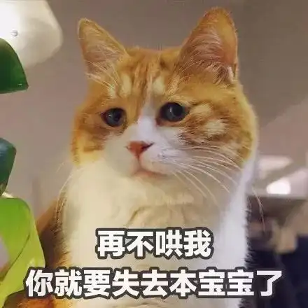 爱是相互成就,爱是告别依赖