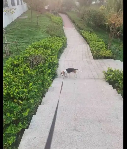遛弯
