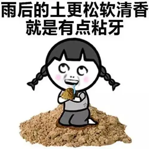 90后的第一台车,为什么我选宋pro
