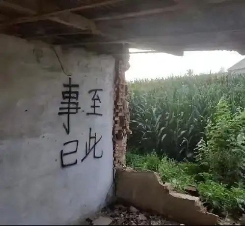 爆笑段子天大地大,干饭最大
