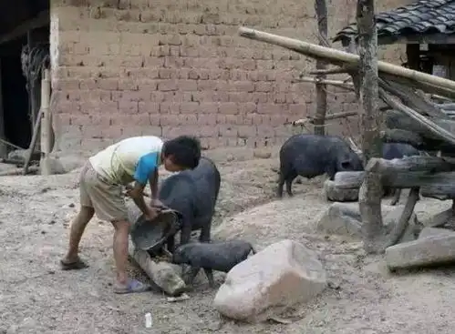 这样的农村生活,你们还记得吗
