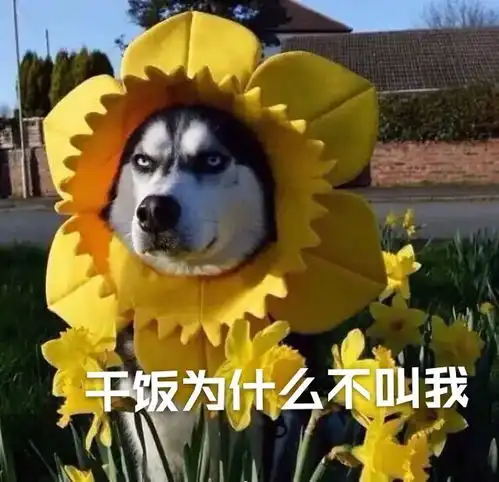 超搞笑干饭王文案表情包
