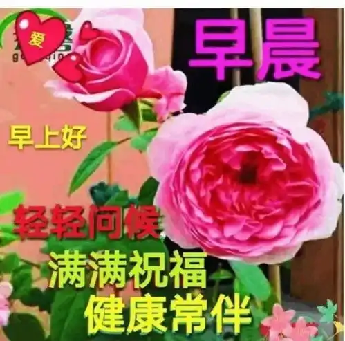 早上好朋友,最美早安问候祝福语图片带字温馨,漂亮的早上好表情图片
