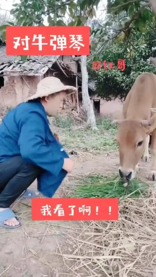 简直就是对牛弹琴啊
