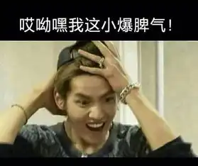 exo带字搞笑图片
