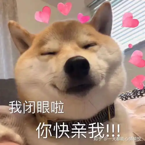 狗狗搞笑表情包来了不打算让自己可爱点吗教你转成微信表情包
