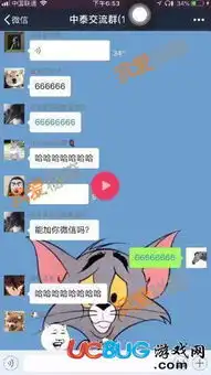 抖音微信中泰交流群怎么进入抖音id是多少
