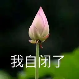 佛系表情包合集
