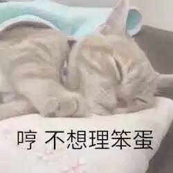 表情包你不能看我可爱就欺负我
