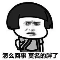 关于胖的表情包微信头像图片大全
