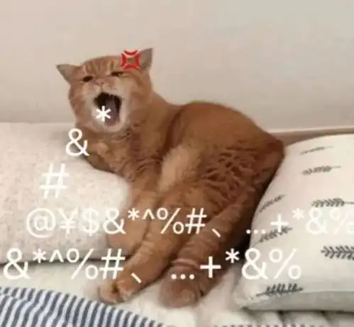 闭上你的狗嘴,ok丨第137期喵表情
