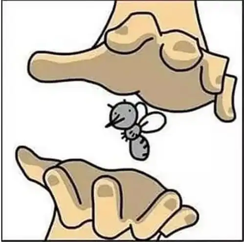 爆笑漫画男孩用双手都没逮到蚊子,对方还不忘在耳边嘲笑几句
