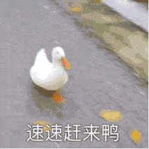 免费还有这项健康福利,等你领取
