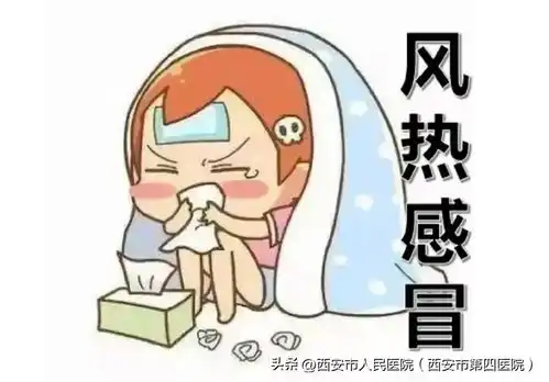 健康素养提升v计划风热感冒大家可以将西瓜去皮籽,挤出汁,番茄剥皮,挤汁,汁合并,即可饮用风热感冒喉咙疼