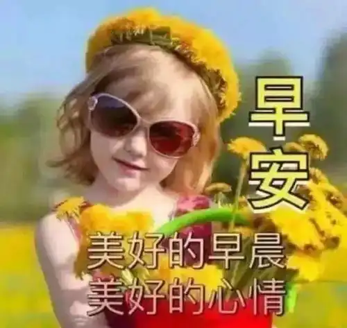 清晨温馨早安问候祝福图片,漂亮的早安动态美图早上好祝福语大全
