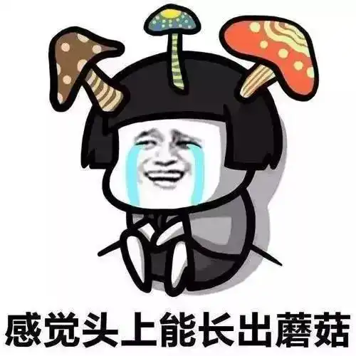 又是和梅雨奋战的一周上海出梅还要等多久

