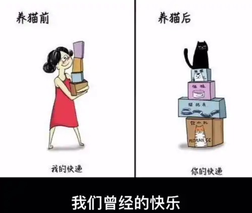 搞笑趣图没有不透风的墙,没有不能上吊的梁腾讯新闻
