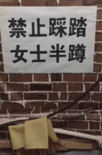 搞笑gif喵星人的幼崽落到我手里了,我是不是可以统治喵星球了
