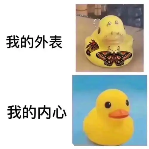 无标题
