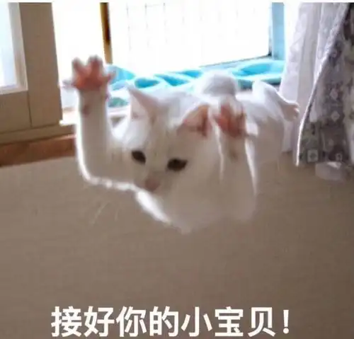 速报新冷空气将杀入厦门雷雨大风统统要来,还有台风重要消息

