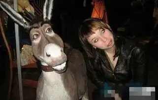 美女与驴表情神同步
