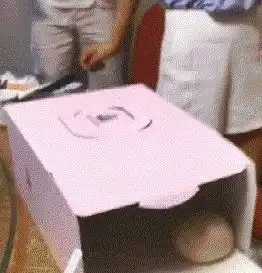 原创搞笑gif趣图过生日你给弄个馒头,太过分了吧
