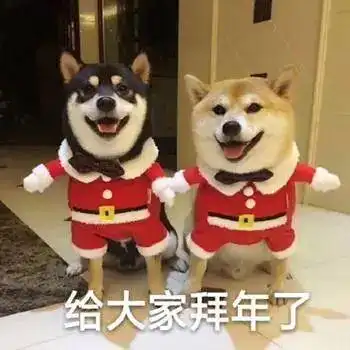 除夕鞭炮声声迎新年,妙联横生贴门前
