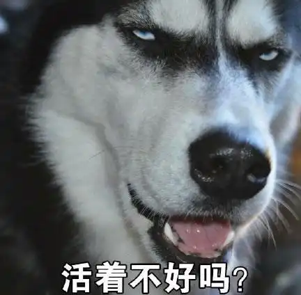 活该你朋友圈被赞有趣的灵魂才发那些搞笑文案都在这里
