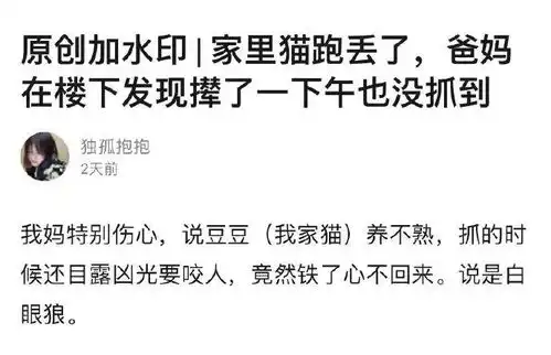 2020最后一波朋友圈搞笑截图曝光,笑抽哈哈哈哈哈哈哈
