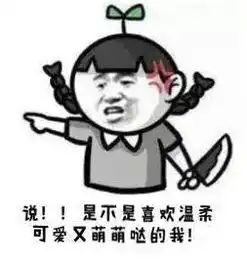 二次堆糖,美好生活研究所