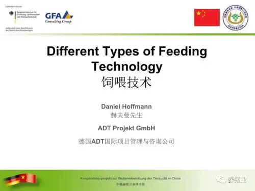 不同类型猪饲喂技术
