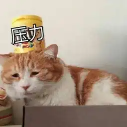 斗图表情包等本仙敷完面膜在怼你
