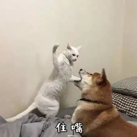 我们分手吧下一句怎么接
