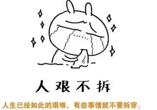 新闻哥大姐,装疯卖傻是需要智商的
