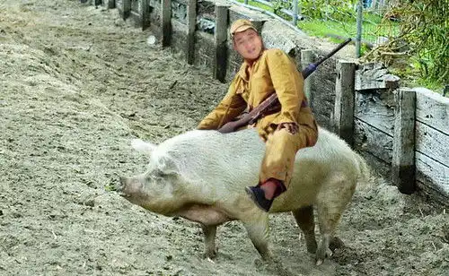 跪求ps大师帮忙把这个照片弄搞笑点,谢谢了比如骑个猪扛个枪什么的
