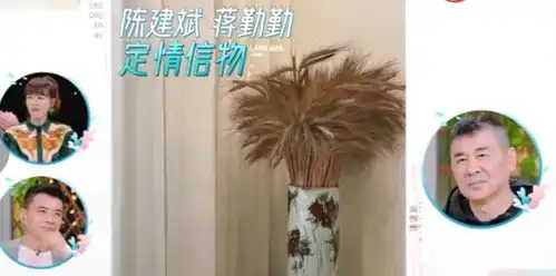 陈建斌有多会玩浪漫蒋勤勤从瞧不上到深爱,快来记下知识点
