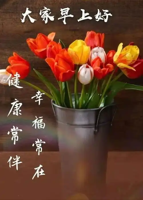 微信早上聊天不用打字的专用有趣表情包微信早上聊天打字动态图片
