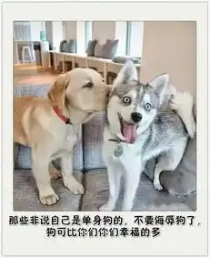 我竟然忍不住流嘴水,搞笑精选看到雕兄的双脚
