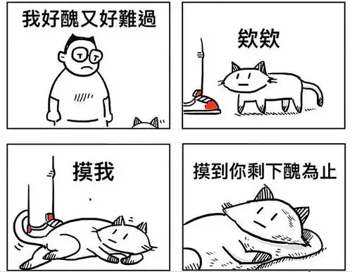 搞笑趣图当你喜欢上某种东西,所以集齐了它的所有颜色
