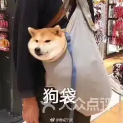 1点点电话,地址,营业时间
