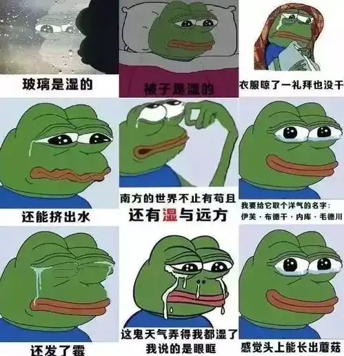 气温降到24潮州将迎持续性强降雨
