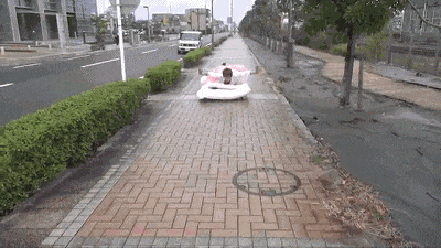 搞笑图片,这是树叶
